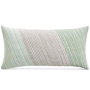 Charter club 2 decorative pillows